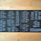 THAUROROD - UPON HAUNTED BATTLEFIELDS 2xlp - pikkukuva 3