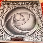 LEEVI and THE LEAVINGS: Hopeahääpäivä *1. painos* FIN 2018 - pikkukuva 1