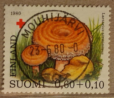1980 0,60mk PR: Nappiloisto Mouhijärvi 23.6.80 (1068)