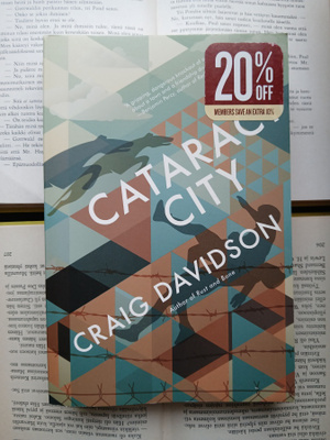 Craig Davidson - Cataract City: A Novel (softcover)