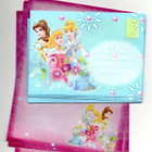 DISNEY °°PRINSESSAT°° -KIRJESETTI - pikkukuva 1