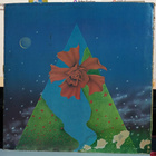 Mahavishnu Orchestra Visions of the Emerald Beyond - pikkukuva 2