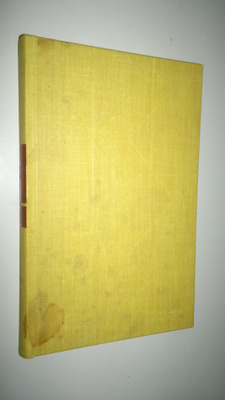 Zaharia Stancu : Costandina