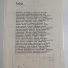 Vladimir Nabokov : Lahja - pikkukuva 2