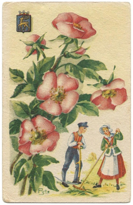 Ramstedt Paletti Maakuntakukka (1944)