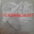 THE NORMAL HEART DVD (Mark Ruffalo, Julia Roberts) - pikkukuva 1