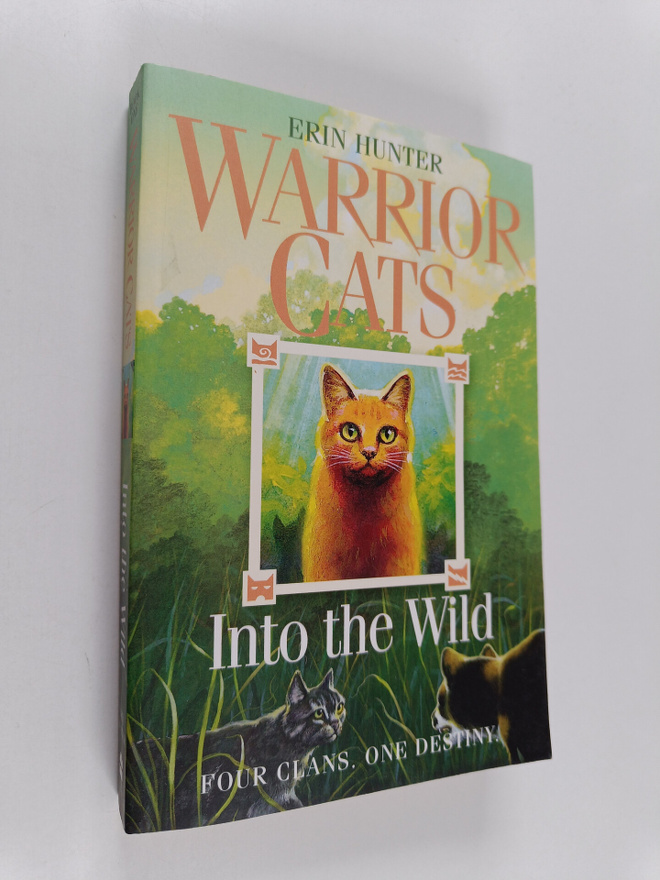 Erin Hunter : Into the Wild