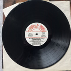 LP RAY CAMPI and his Rockabilly Rebels - pikkukuva 5