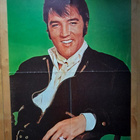 Poster Elvis Presley/Status Quo 58cmX42cm Original - pikkukuva 1