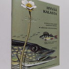 Viking Nyström : Hyvää kalasta : yhtä ja toista pientä ma... - pikkukuva 1