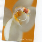 ANNE GEDDES !°VAUVA KUKASSA....°° -KORTTI /(Käyttämätön) - pikkukuva 1