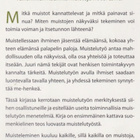 Leonie Hohenthal-Antin: Muistot näkyviksi - pikkukuva 3