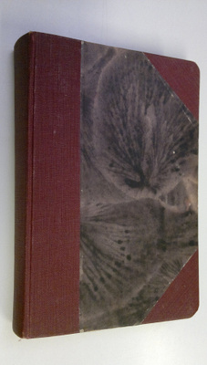 Kate Douglas Wiggin : Villiruusu : kehitysromaani