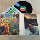 IRON BUTTERFLY - Metamorphosis LP - pikkukuva 1