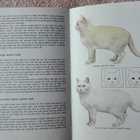 Guide to the Cats of the World (Kissat) - pikkukuva 2