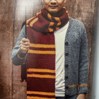 Harry Potter - Neuleiden taikaa - pikkukuva 3