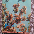 Pellervo No 9 kesäkuu 1962 - pikkukuva 1