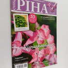 Oma piha 2/2014 - pikkukuva 1