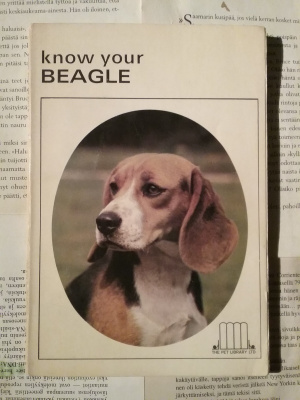 Earl Schneider (editor) - Know Your Beagle (softcover)