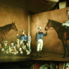 Yann Arthus-Bertrand  HEVOSET  ( 1 p. 2005 ) Sis. postikulut - pikkukuva 5