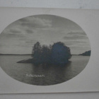 Viitasaari, Kultainsaari, vanha mv valokuvapk, ei p. - pikkukuva 1