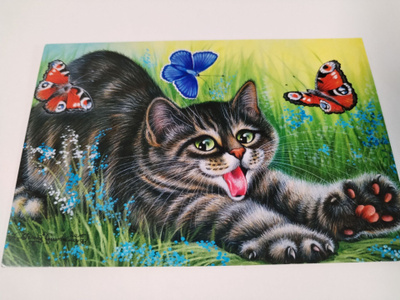 Kissa kortti,kulkematon.
