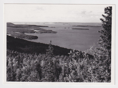Lieksa: Koli
