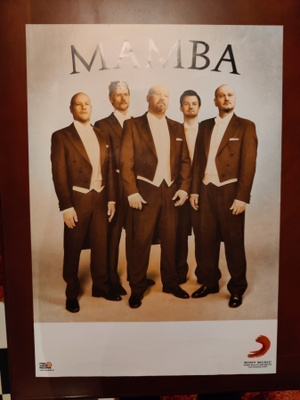 Mamba keikkajuliste
