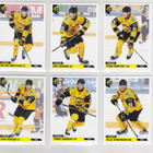 2019-20 Cardset Series 2 SaiPa Team Set 12 korttia (121-132) - pikkukuva 2