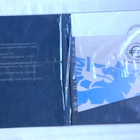 FDC Leijonamerkki euronaikaan 31.12.2001 - 1.1.2002 - pikkukuva 3