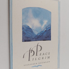 Peace Pilgrim : Sisäiseen rauhaan - pikkukuva 1