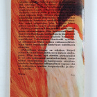 Edna O'Brien : Paheellinen elokuu - pikkukuva 2