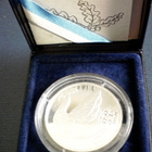 100 mk YK 50v. v. 1995 PROOF - pikkukuva 1