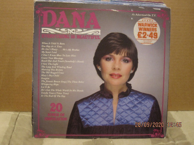 Dana Everything is beautiful