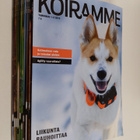 Koiramme vuosikerta 2019 (nrot 1-12) - pikkukuva 1