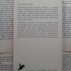 Knut Hamsun - Nälkä (pokkari) - pikkukuva 3
