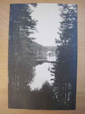 VANHA Valokuva Punkaharju 1920-luku