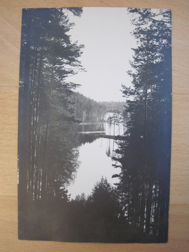 VANHA Valokuva Punkaharju 1920-luku