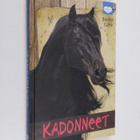 Becky Citra : Kadonneet - pikkukuva 1