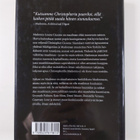 Christopher Ciccone : Siskoni on Madonna - pikkukuva 2