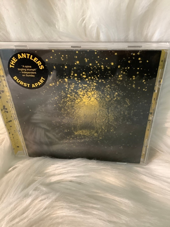 THE ANTLERS:BURST APART