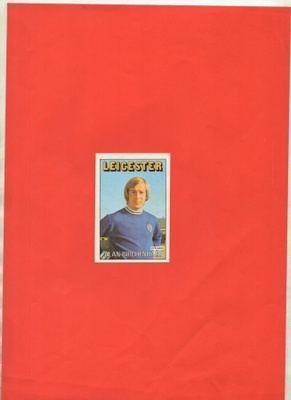 Jalkapallo n:o 208 ALAN BIRCHENHALL LEISESTER Purkkakuva