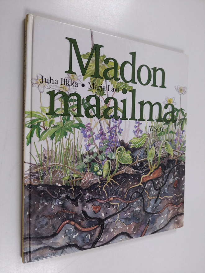 Juha Ilkka : Madon maailma