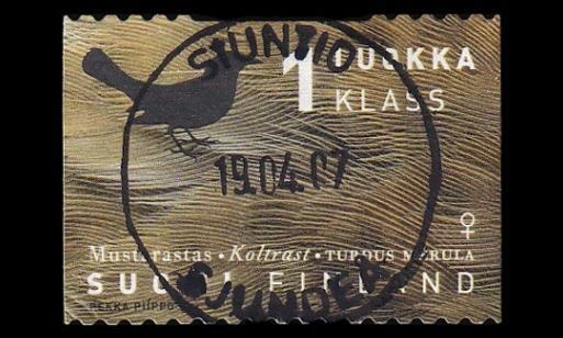 1409 o Mustarastas loisto Siuntio 19.4.07 (1998)