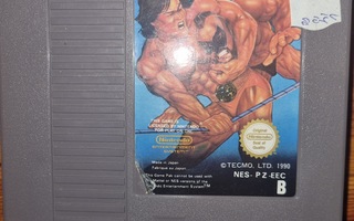 World wrestling - NES