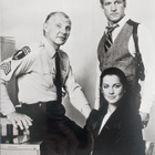 Pressikuva: Hill Street Blues - pikkukuva 1