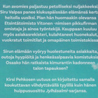 Kirsi Pehkonen: Etsivä löytää - pikkukuva 3