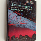 Ernst R. Berndt : The practice of econometrics : classic ... - pikkukuva 1