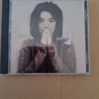Björk - pikkukuva 1