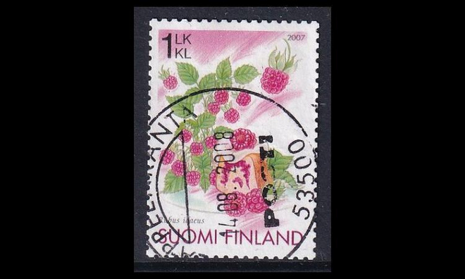 1848 o Vadelma (2007)